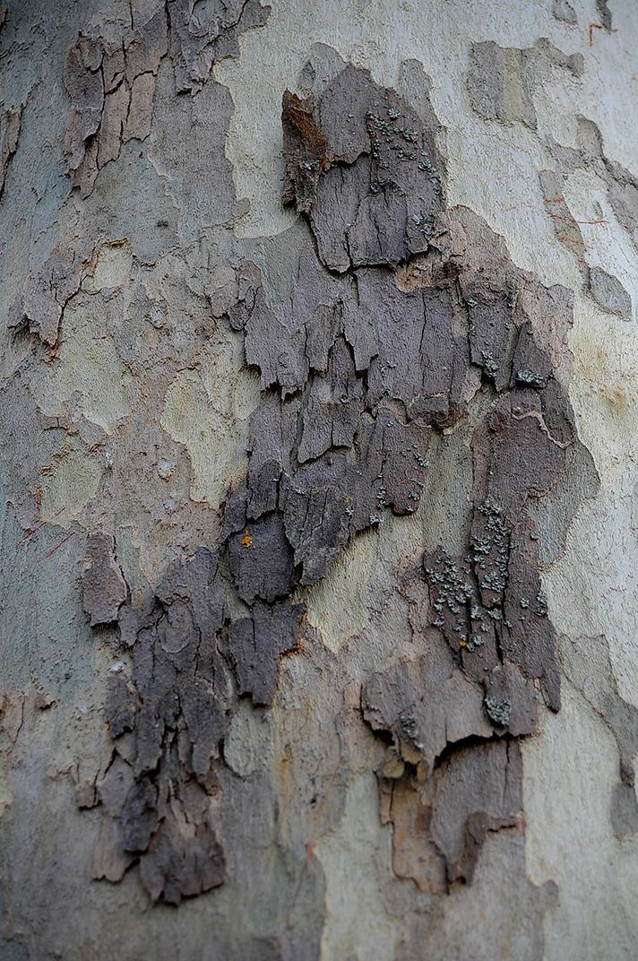 Quand la matière se souvient : entre palimpseste pictural et rémanence photographique dans l’œuvre de Youssef Hadimi Quand la matière se souvient : entre palimpseste pictural et rémanence photographique dans l’œuvre de Youssef Hadimi