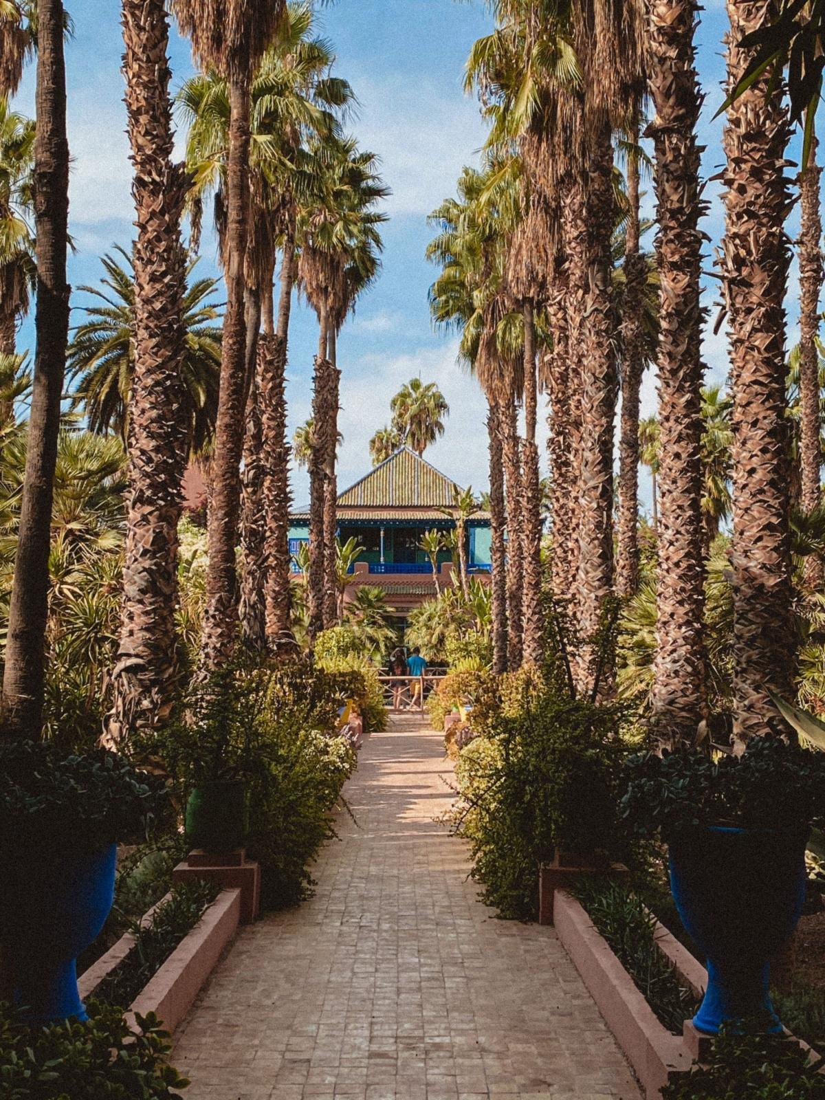 Marrakech au cinéma : la lumière qui compose les décors