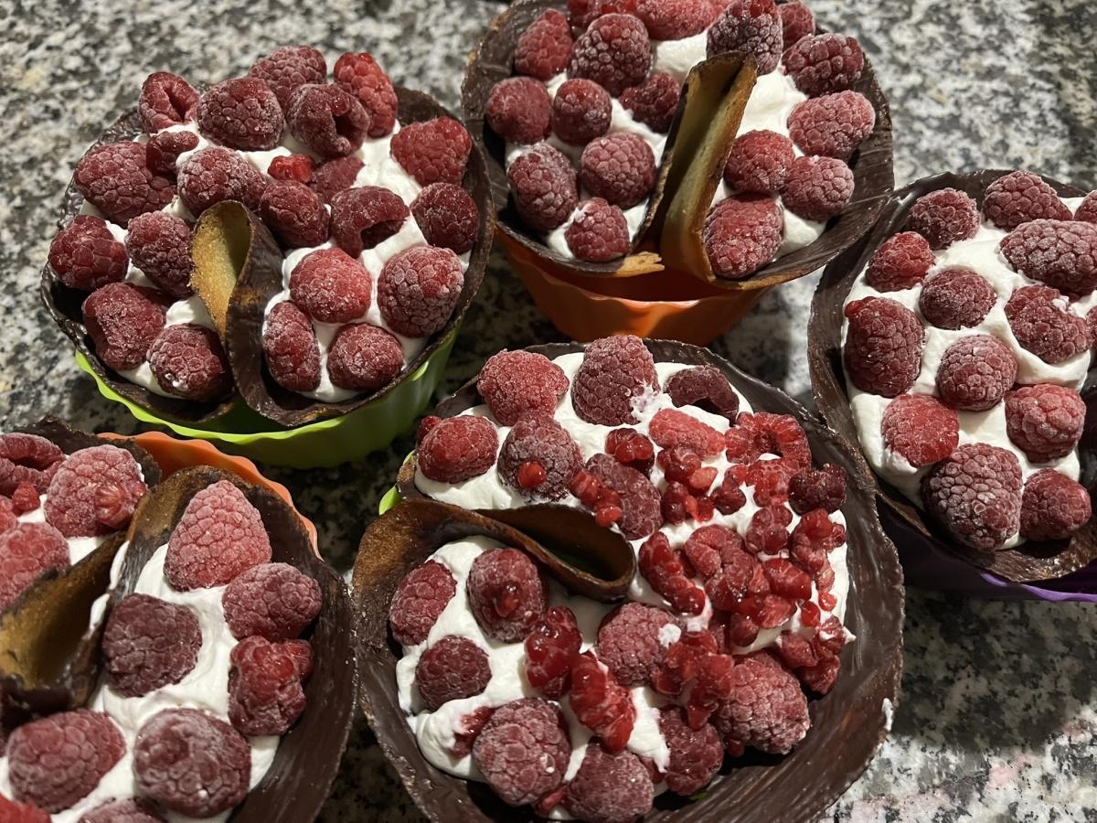 Tulipe Framboise