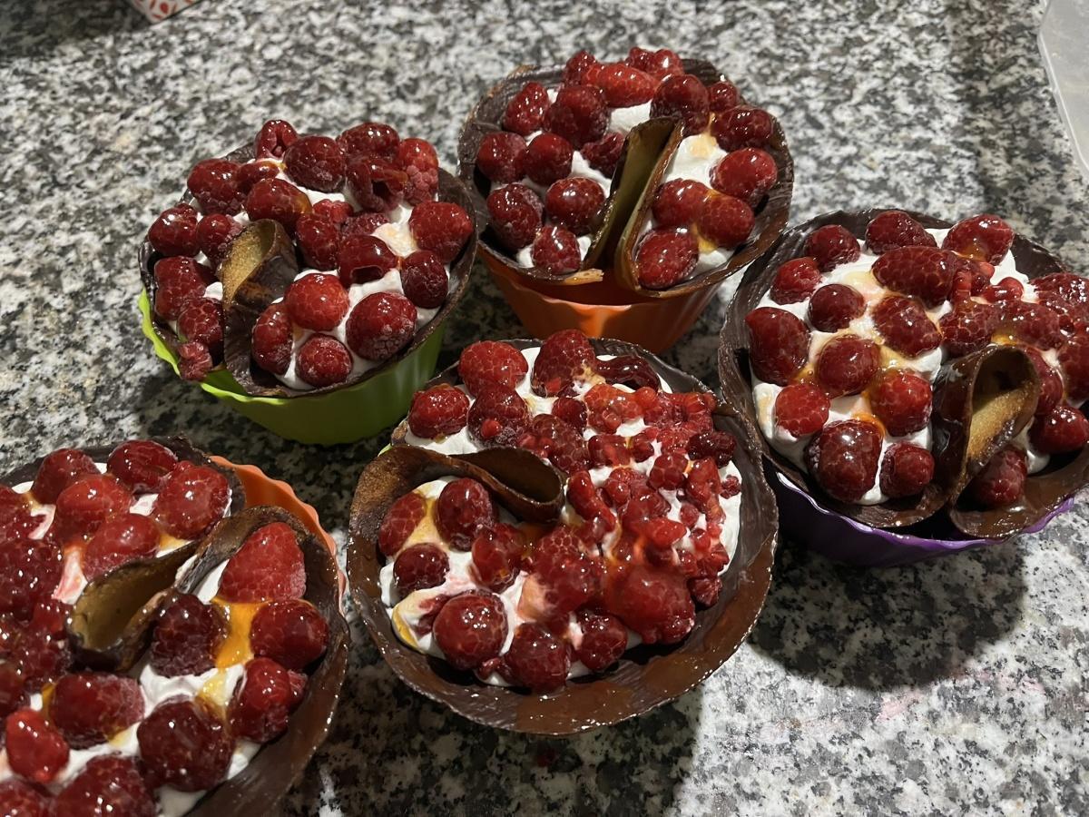 Tulipe Framboise