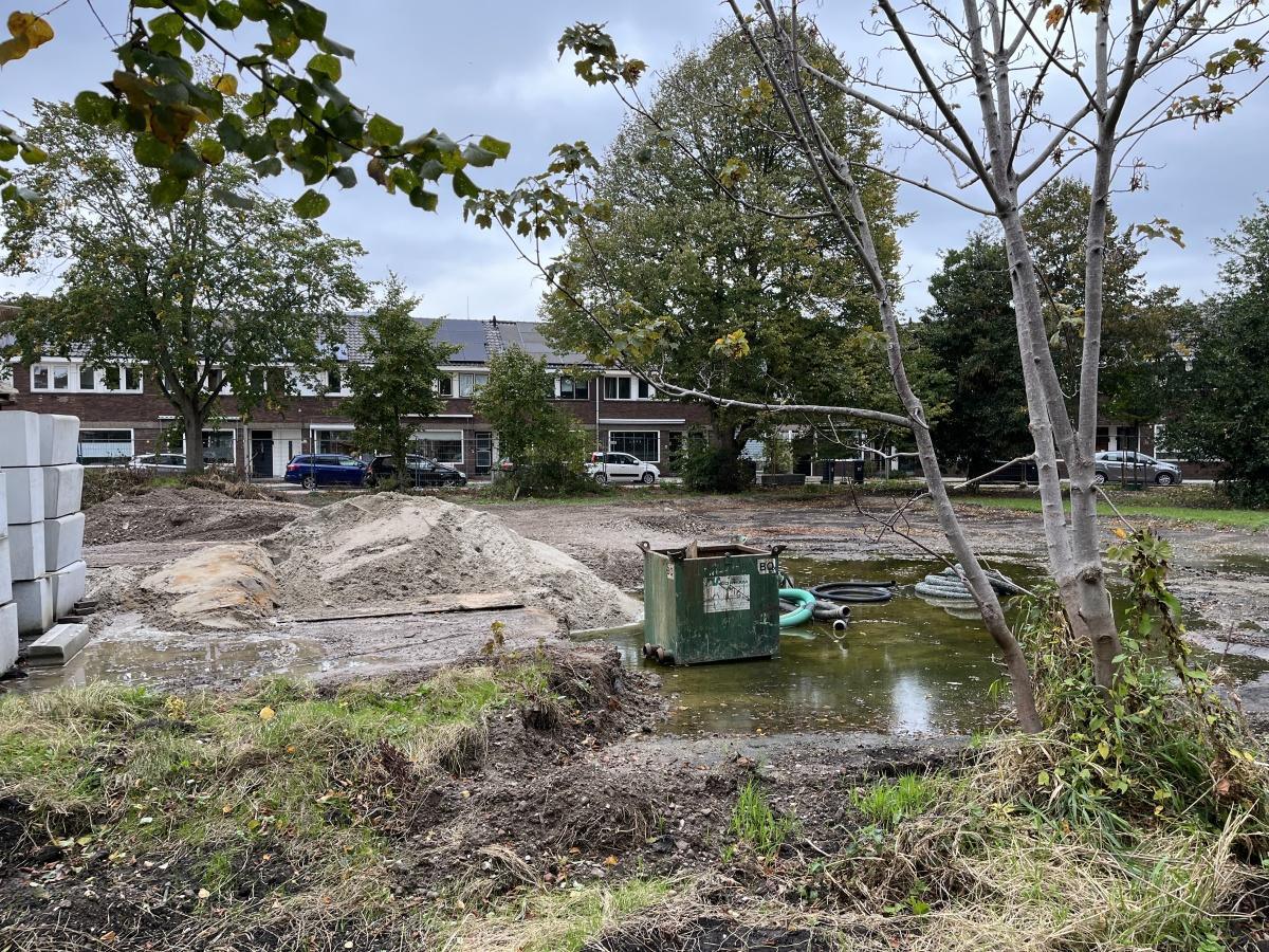 Weekupdate 10 oktober