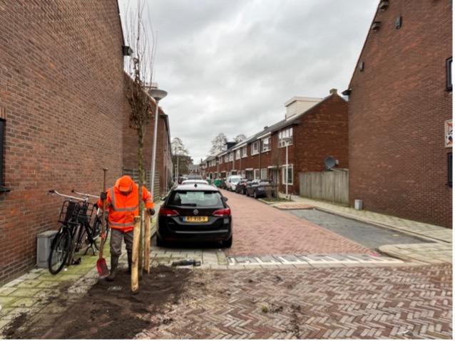 Aanplanten groen in de wijk