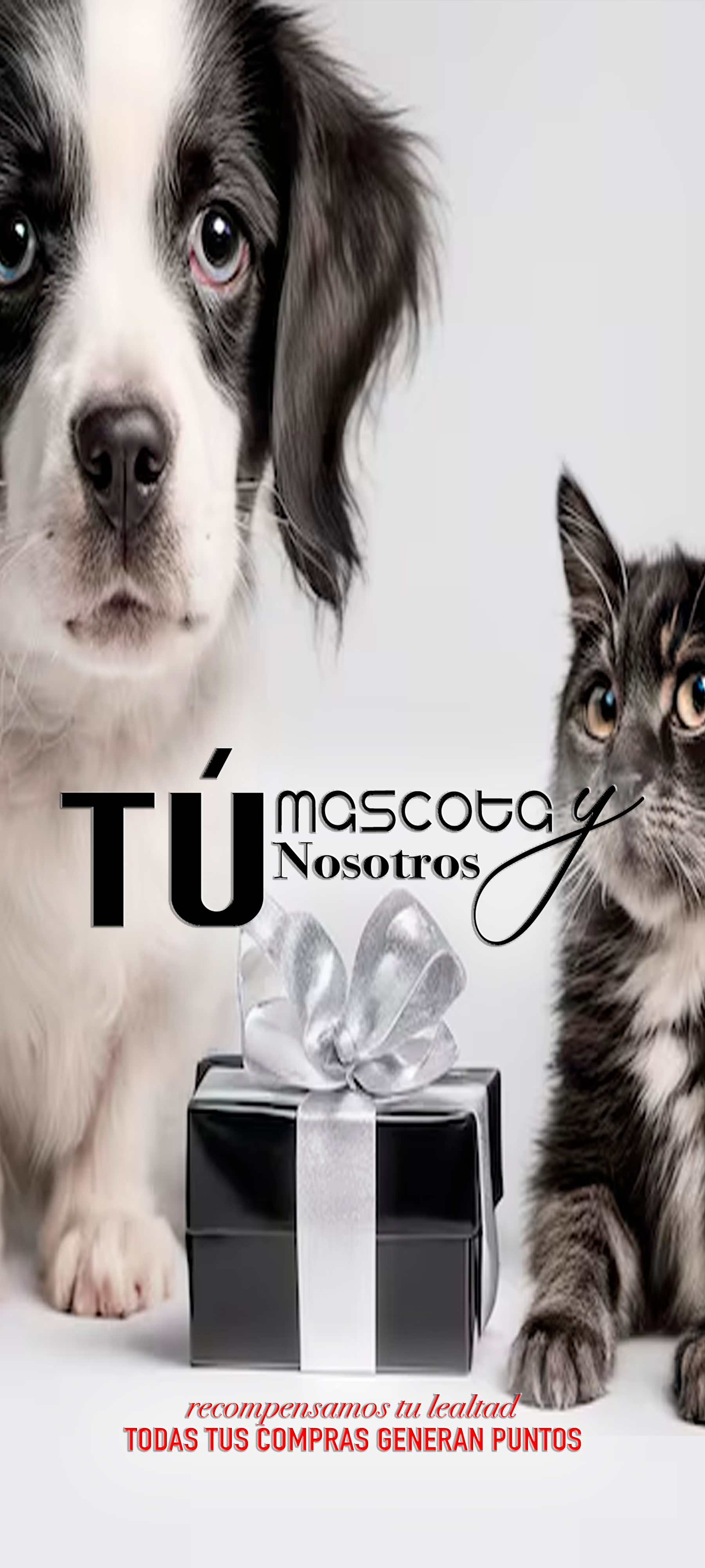 Tú lealtad la recompensamos