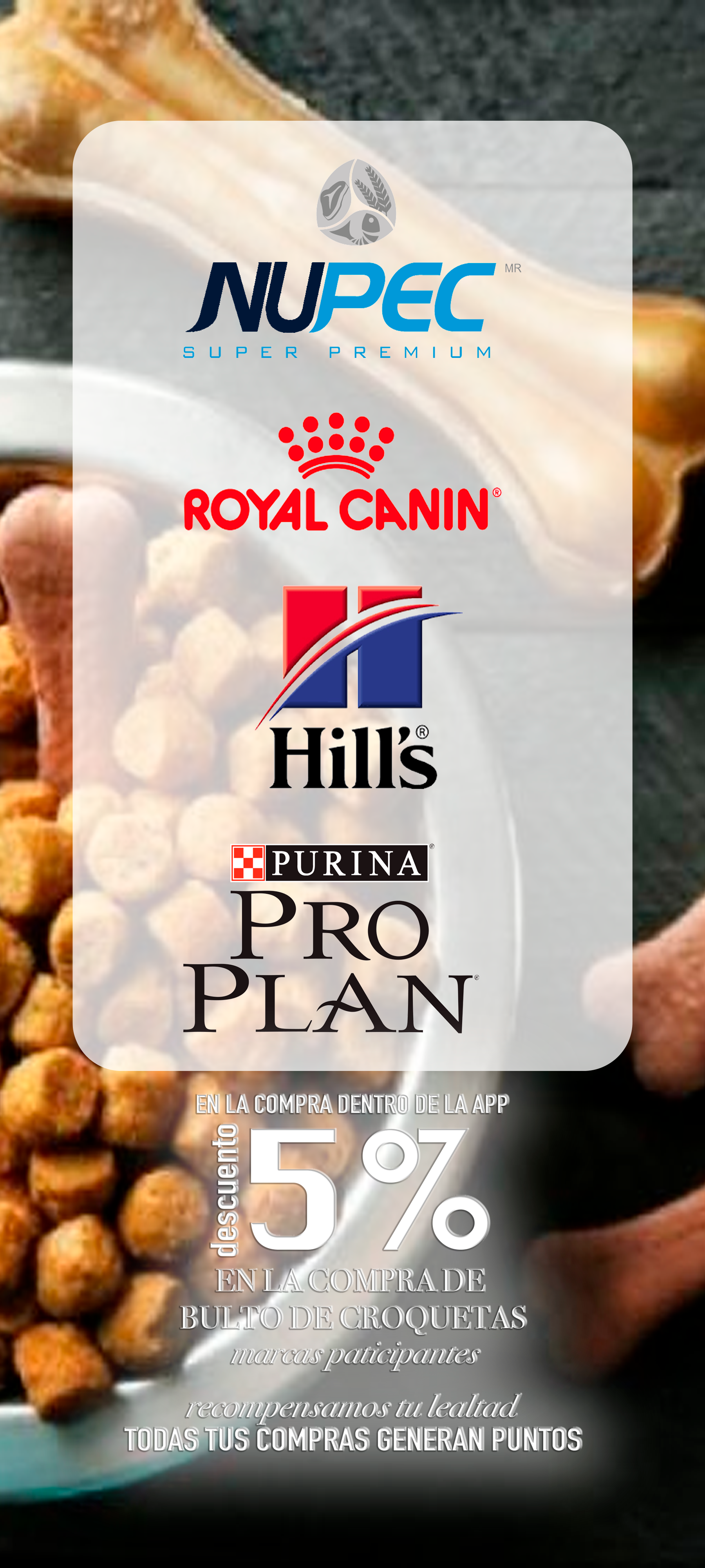 Promoción Croquetas