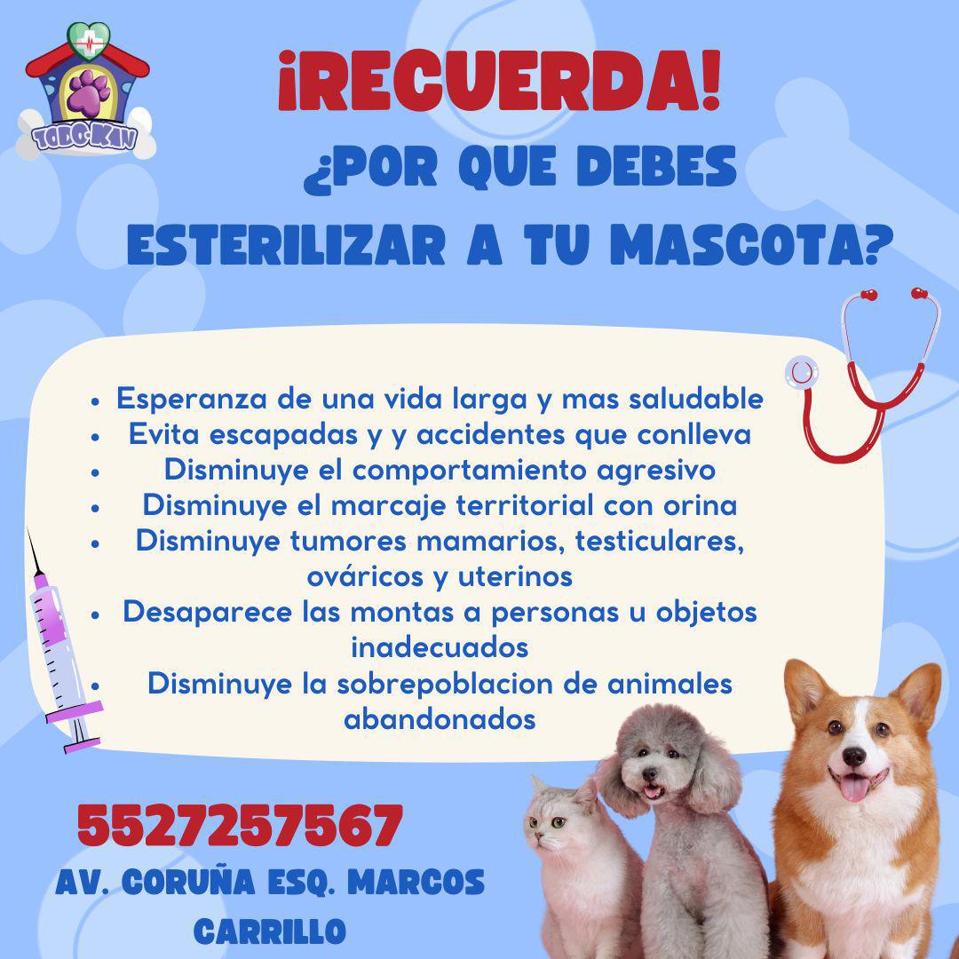 WhatsApp Image 2026-01-03 at 3.49.01 PM