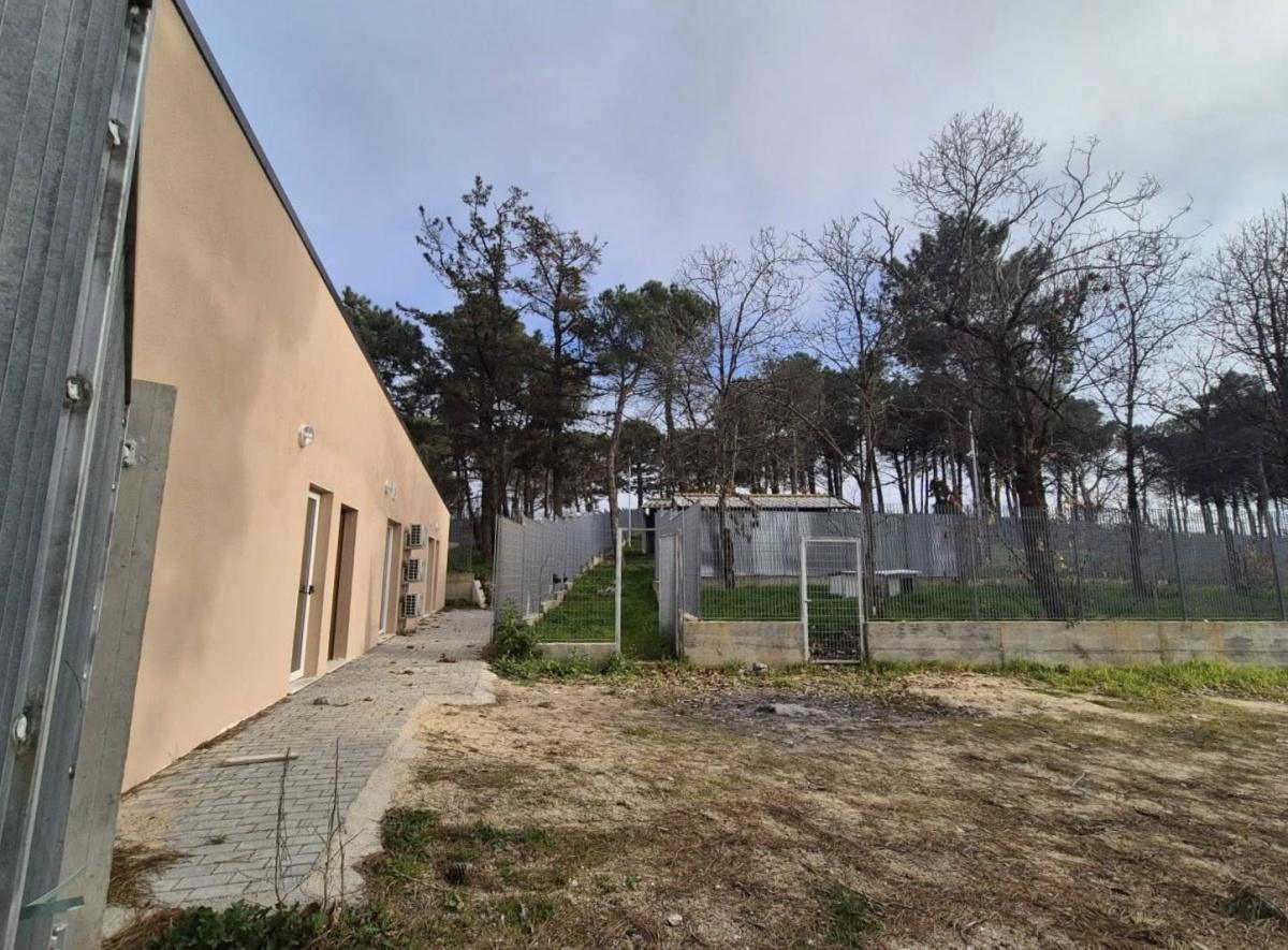 Inaugurazione della nuova Oasi Canina (Inizio ore 10:30)