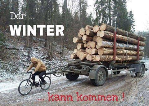 Kaminholz bestellen Kaminholz bestellen