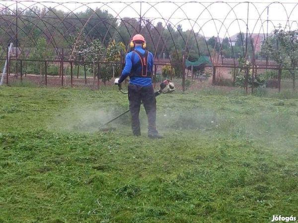 Was muss ich beachten wenn ein Teil meines Grundstücks in Ungarn von einem Landwirt bewirtschaftet wird?