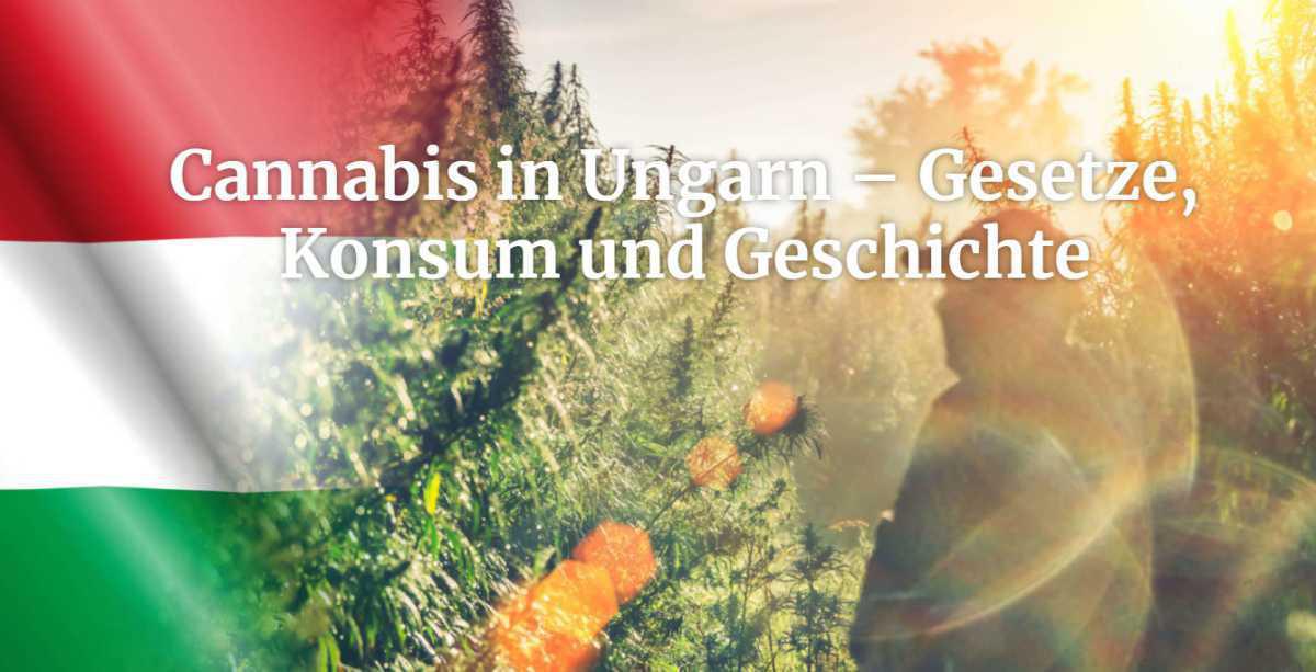 Cannabis in Ungarn Cannabis in Ungarn