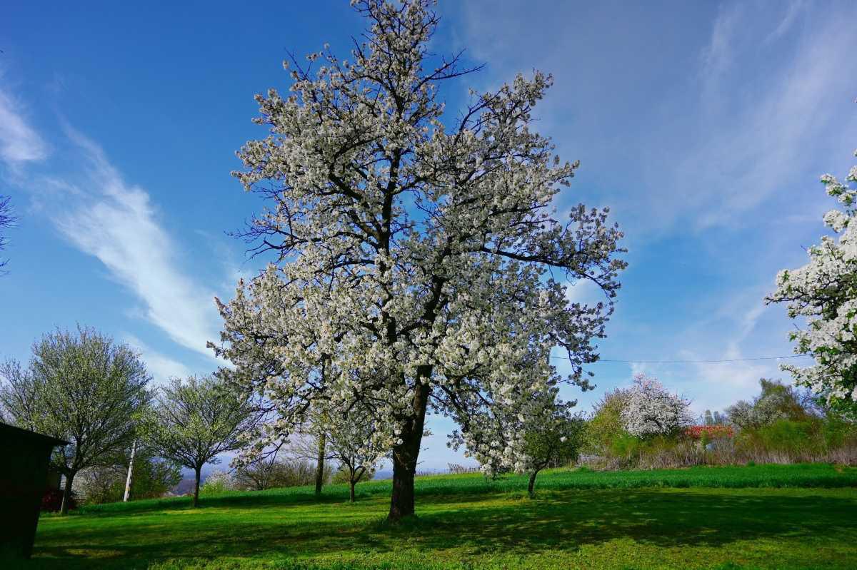 Wohnen im Aussenbereich in Ungarn möglich? Wohnen im Aussenbereich in Ungarn möglich?