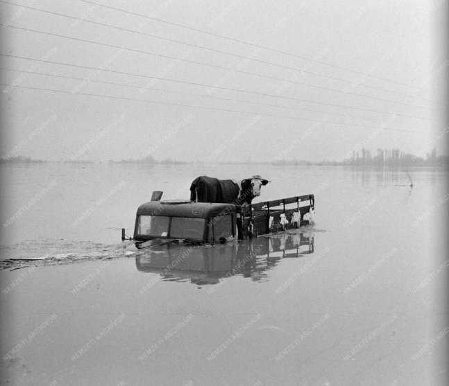 Ungarisches Nationalarchiv: Eine fantastische Recherchemöglichkeit  Ungarisches Nationalarchiv: Eine fantastische Recherchemöglichkeit