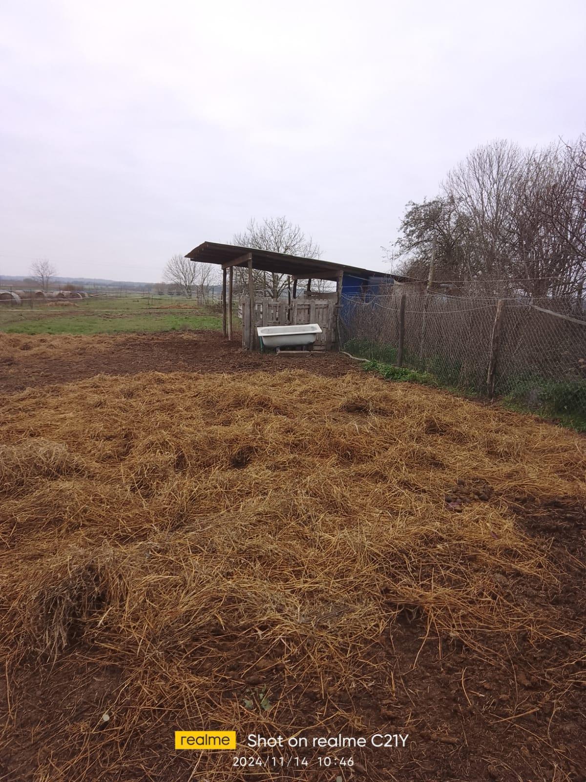 Pferdeunterstell-Möglichkeit Pferdeunterstell-Möglichkeit