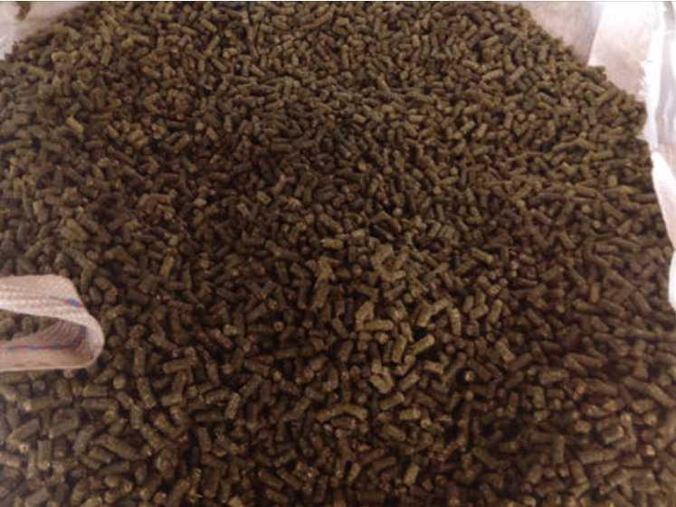 Heupellets – Das ideale Futter für Ihr Pferd Heupellets – Das ideale Futter für Ihr Pferd