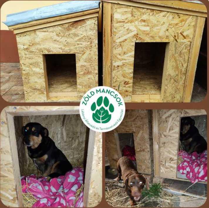 Bitte schreibt oder ruft an, wenn ihr einen Kettenhund ohne Zwinger seht Bitte schreibt oder ruft an, wenn ihr einen Kettenhund ohne Zwinger seht