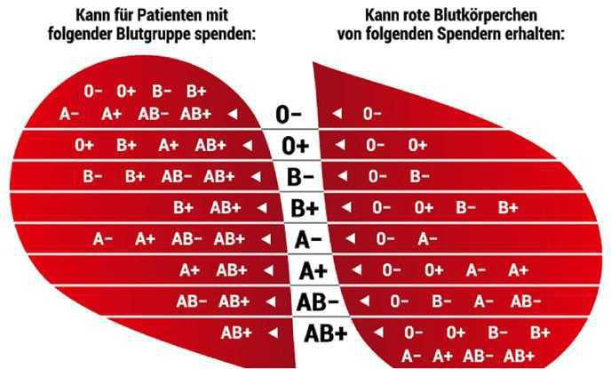 Blutspenden in Ungarn ohne mRNA-Impfstoffe Blutspenden in Ungarn ohne mRNA-Impfstoffe