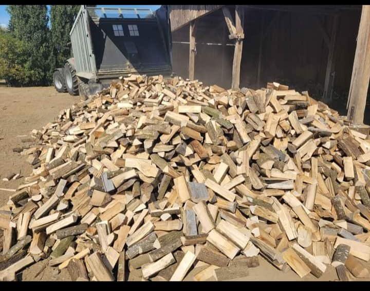 Achtung beim Eigen-Transport von Holz!