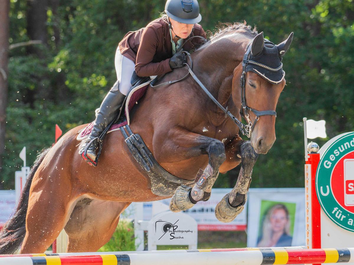 RUF Dörpen u. Umgeb. e. V. RUF Dörpen u. Umgeb. e. V.