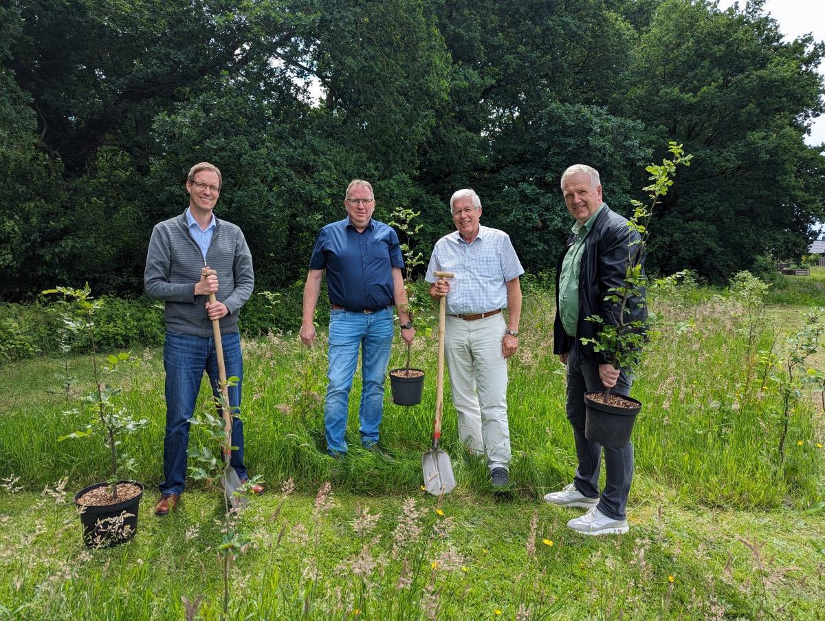 Baumanpflanzung nach ALDI-Neubau Baumanpflanzung nach ALDI-Neubau