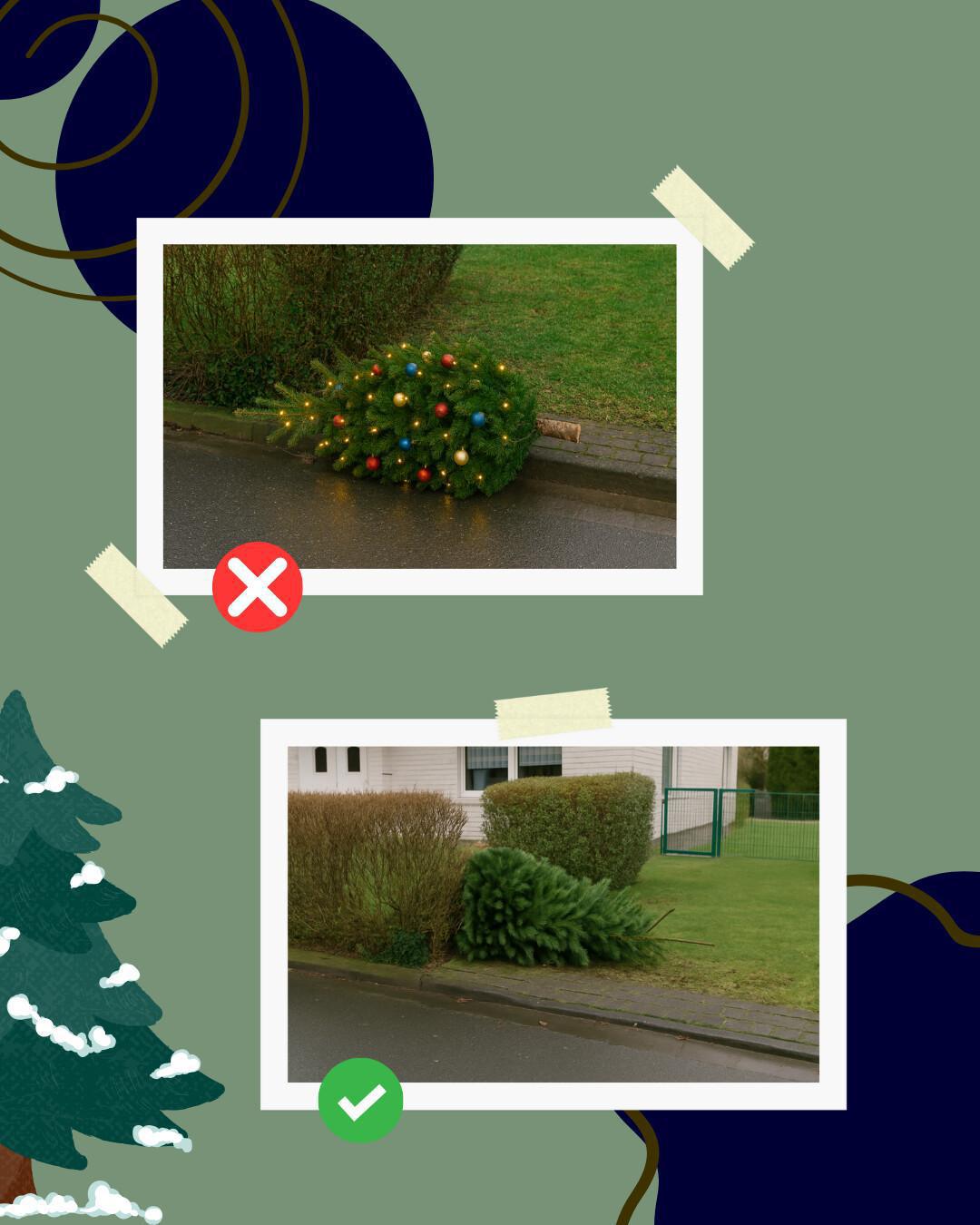 Tannenbaumrückholaktion 2026 Tannenbaumrückholaktion 2026