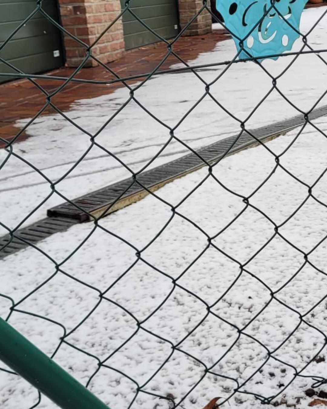 Baumfällungen in der Lessingstraße