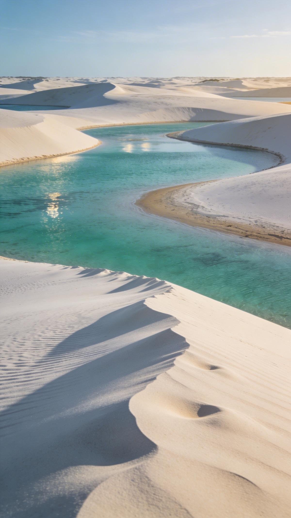 Le sommet du Nirvāna Le sommet du Nirvāna