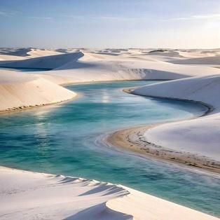 L’interdépendance