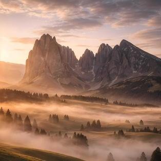 Les limites de la rationalité