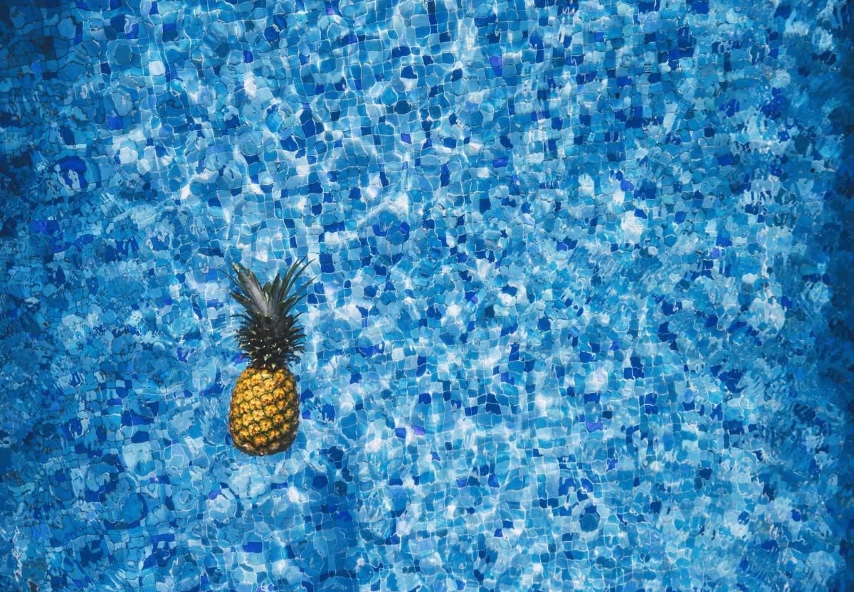 LES LOCATIONS DE VACANCES du CSE