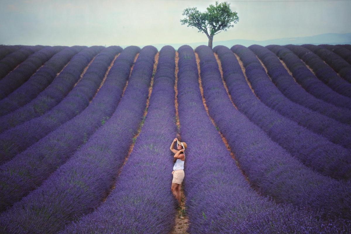 PROVENCE