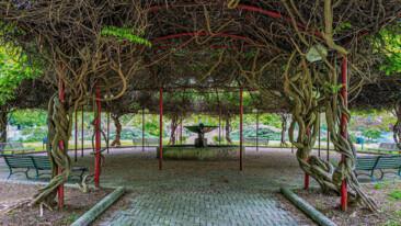 Parchi urbani - Urban Parks Parchi urbani - Urban Parks
