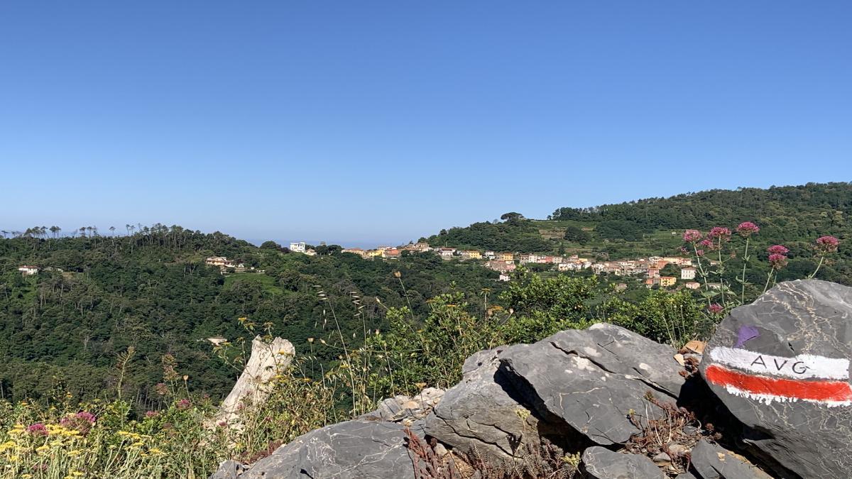 Anello Marola - Campiglia - Marola - Campiglia Loop Anello Marola - Campiglia - Marola - Campiglia Loop