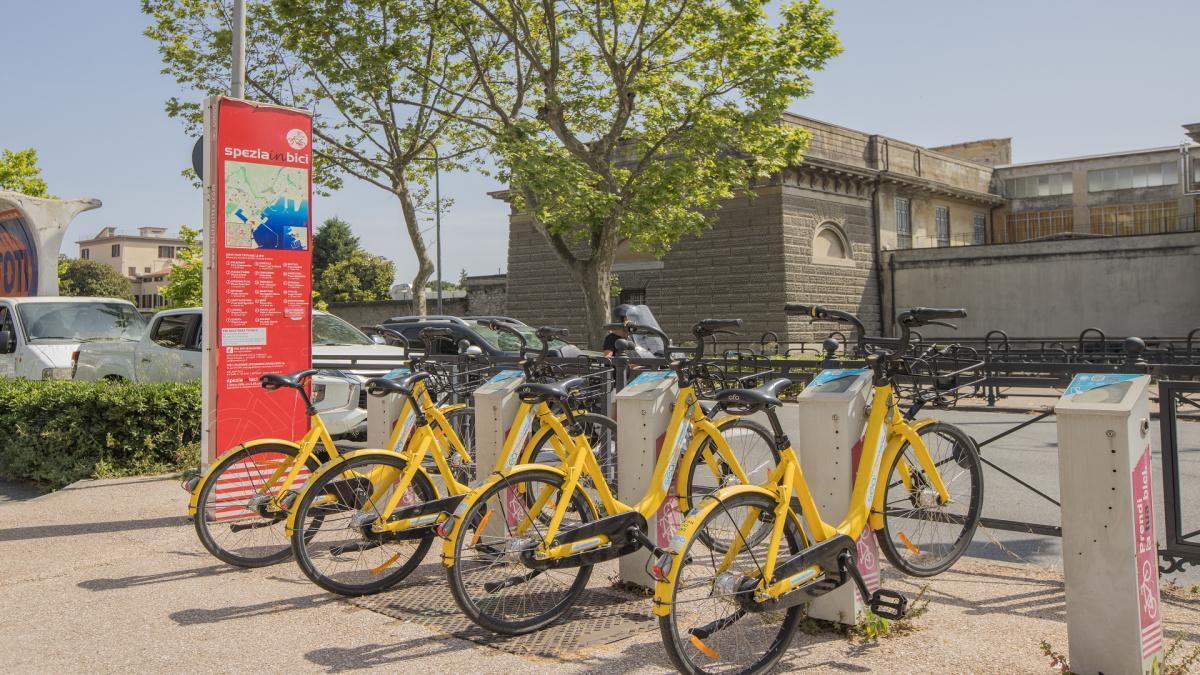 Bikesharing Bikesharing