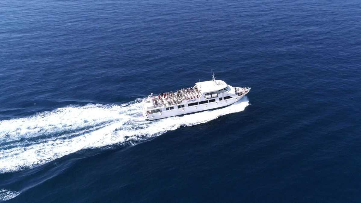 Battelli - Boats Battelli - Boats