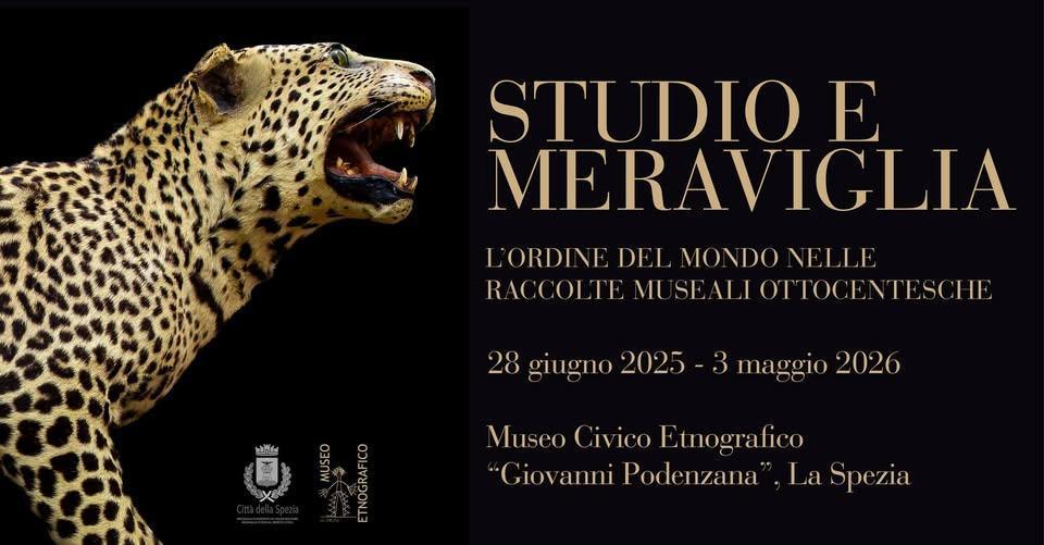 Studio e Meraviglia. L'ordine del Mondo nelle raccolte museali ottocentesche Studio e Meraviglia. L'ordine del Mondo nelle raccolte museali ottocentesche