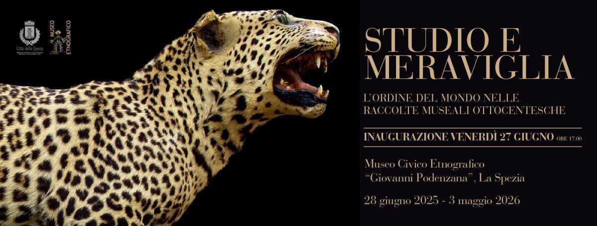 Inaugurazione - Studio e Meraviglia. L'ordine del Mondo nelle raccolte museali ottocentesche (inizio ore 17.00)