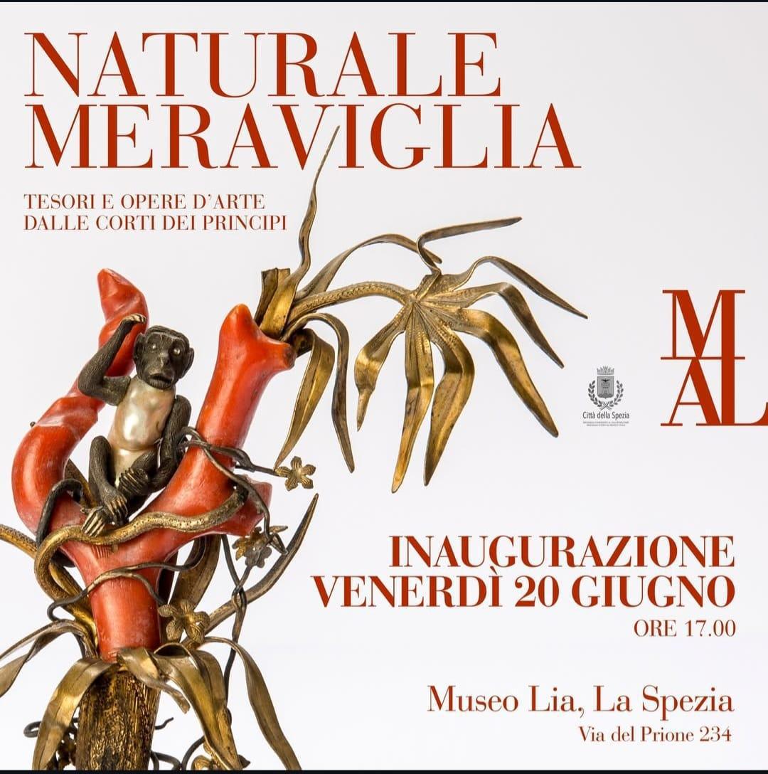 Mostra "Naturale Meraviglia. Tesori e Opere D'Arte dalle Corti dei Principi"