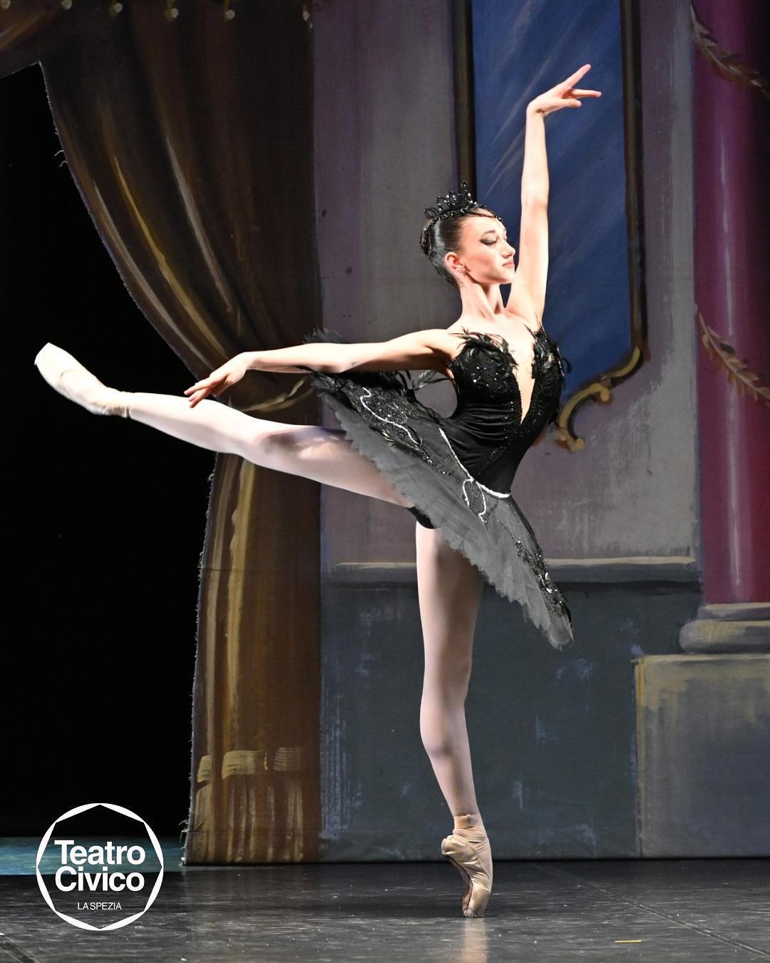 Il lago dei cigni (start h. 21.00)