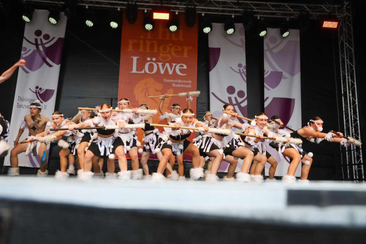 Voller Erfolg für das 31. Rudolstädter Altstadtfest