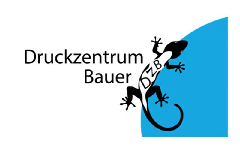 web_dzb
