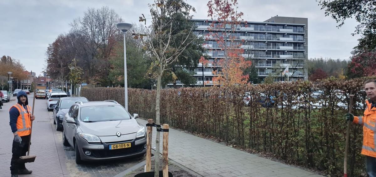 Weekupdate 7 november Weekupdate 7 november