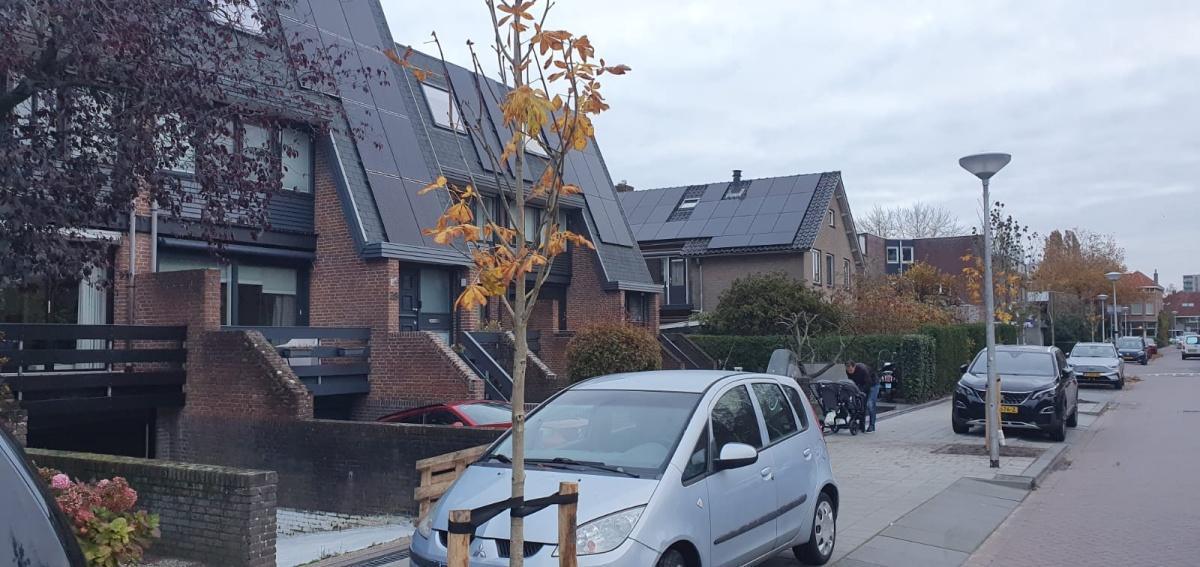 Weekupdate 7 november Weekupdate 7 november