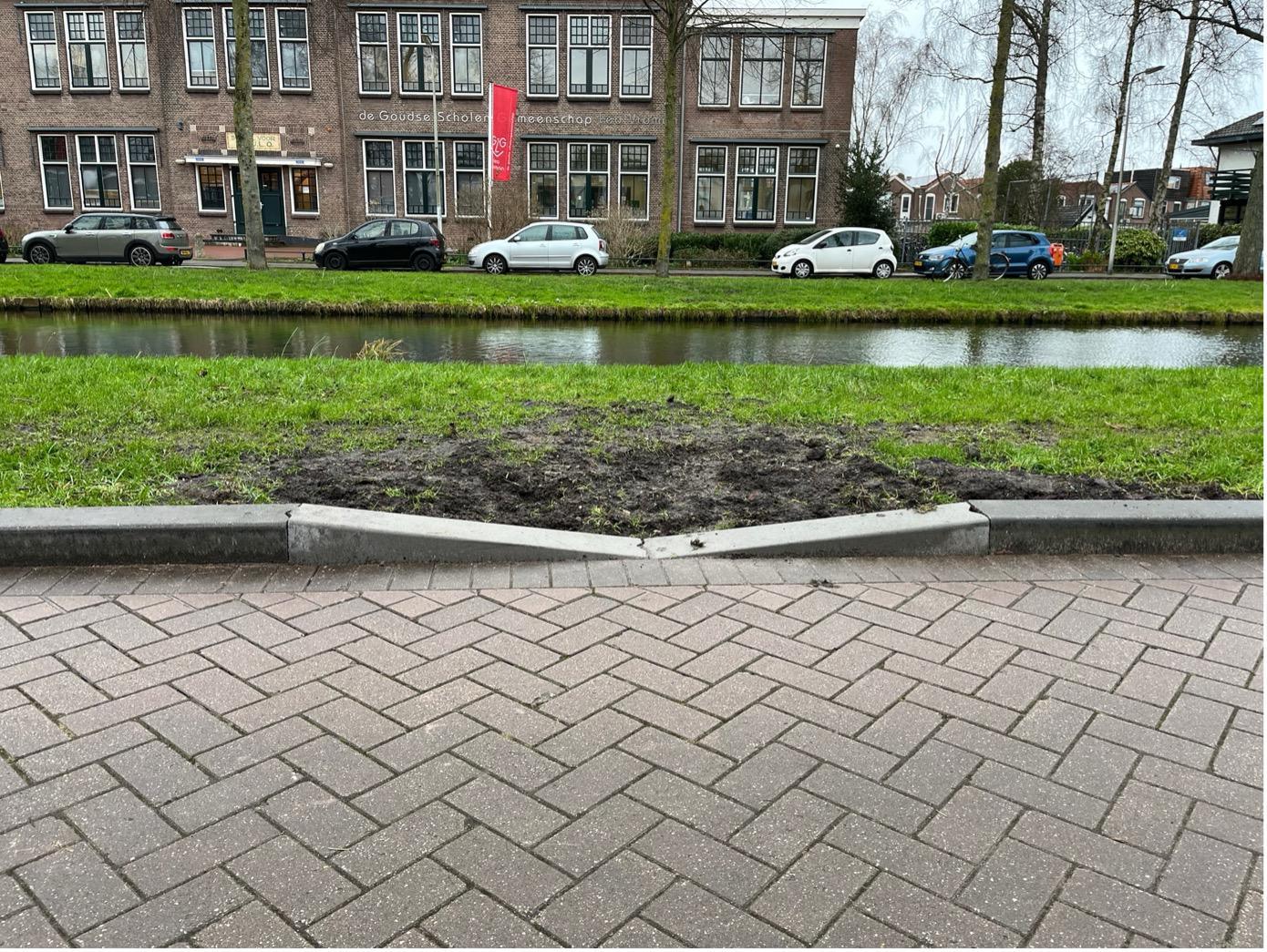 Doorsteek paddentrek Burgemeester Martenssingel