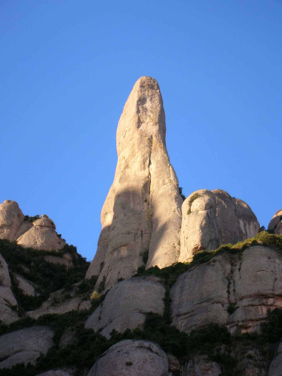 The Cavall Bernat The Cavall Bernat