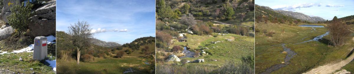 Camino de Santiago por Becerril