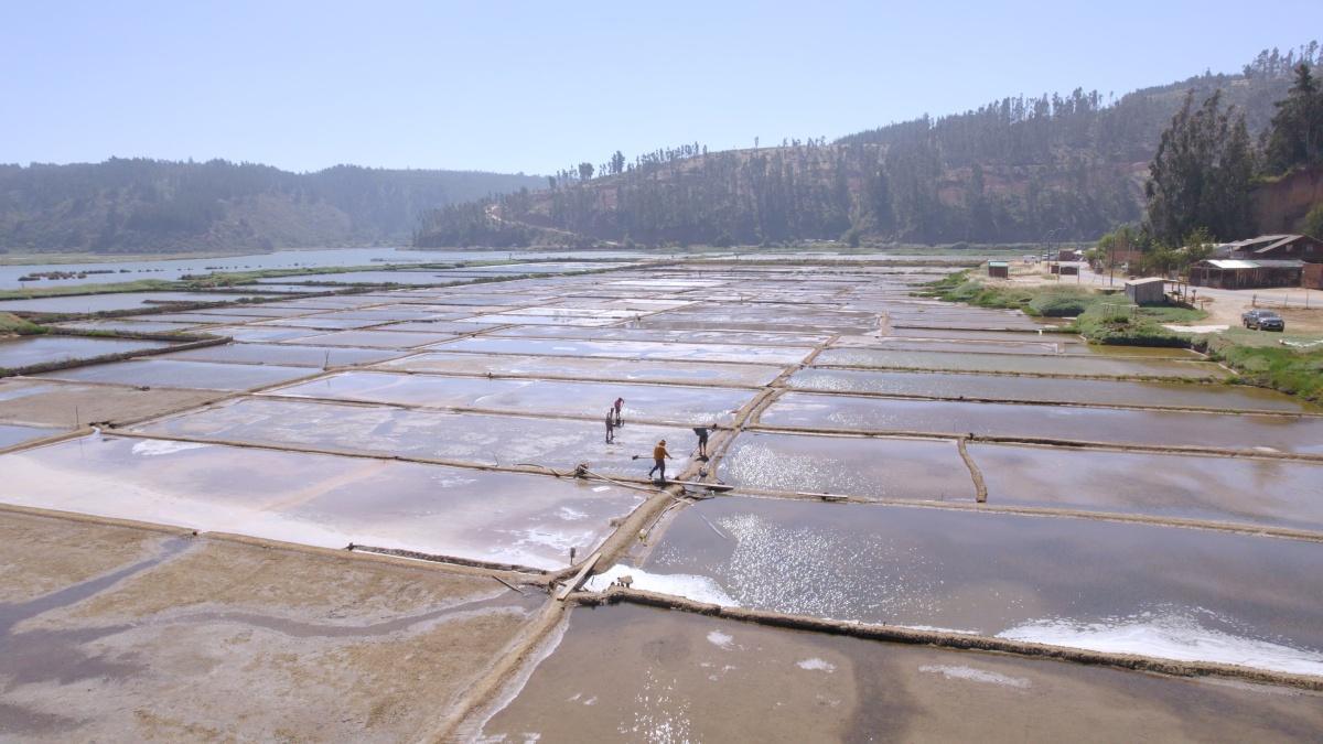 Restaurant Salinas De Barrancas Pichilemu