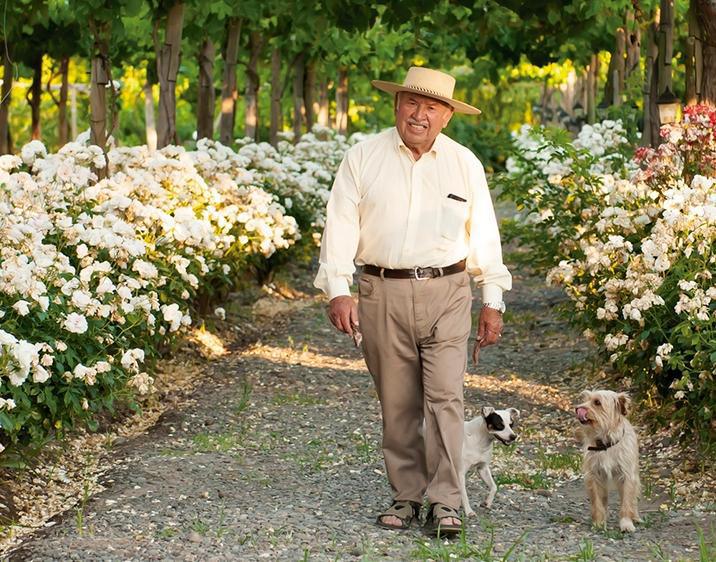 Cava Colchagua: Energy from Traditions