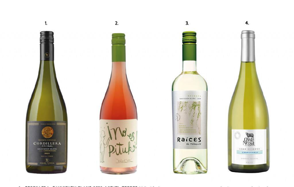 Vinos Blancos que debes probar