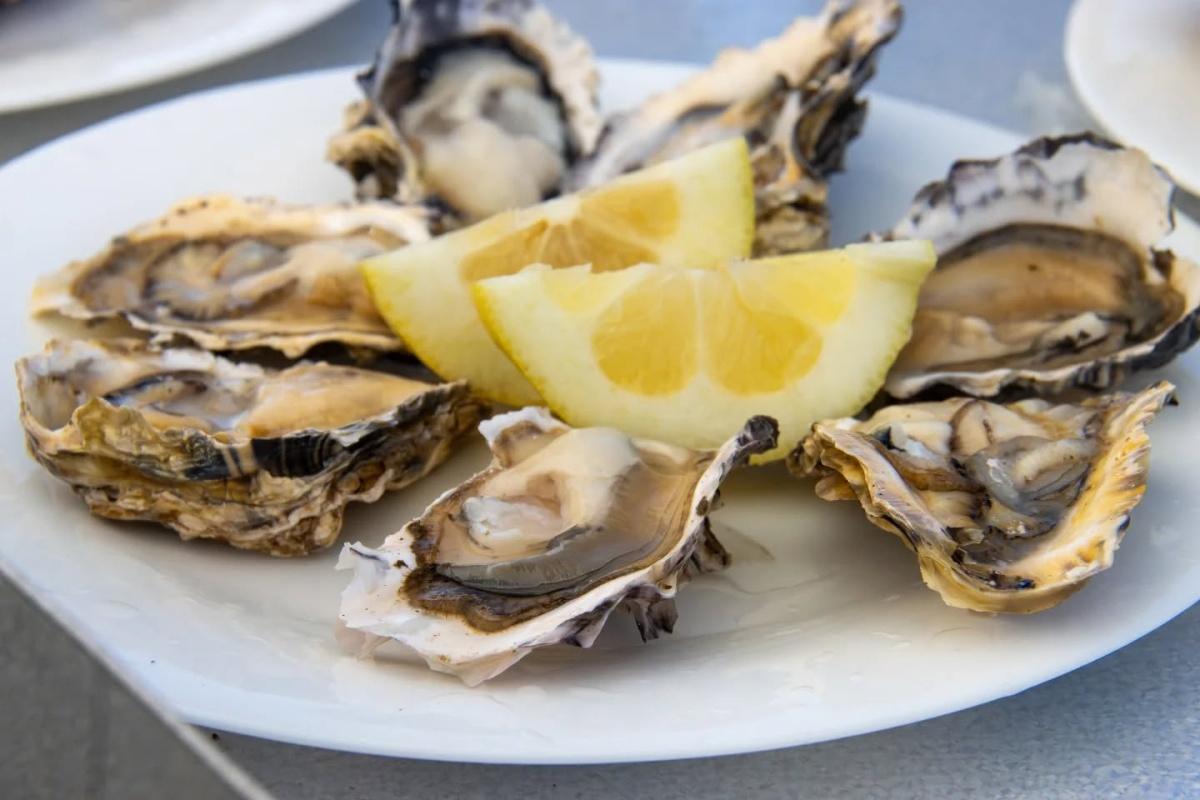 Oyster Feast 2025 Oyster Feast 2025