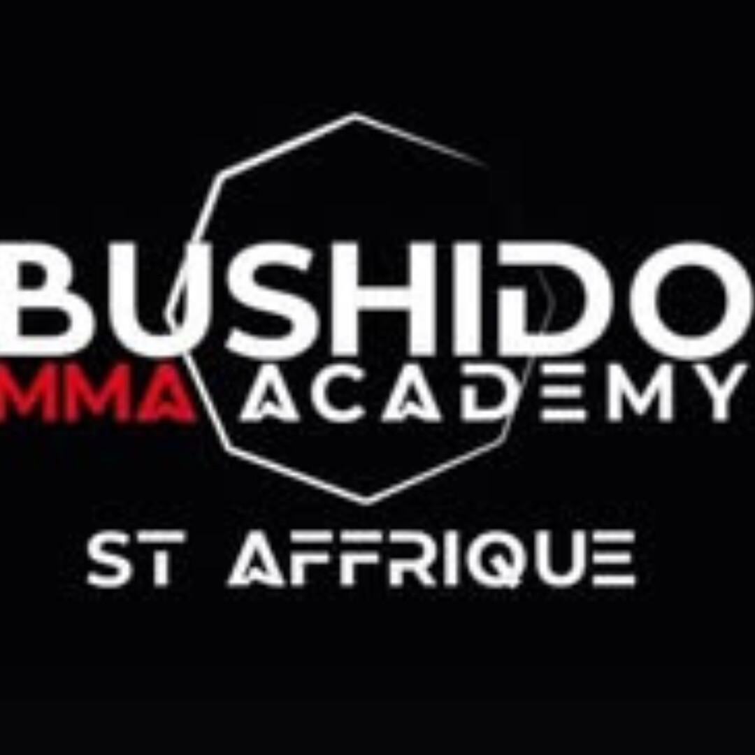 Bushido Académie St-Affrique