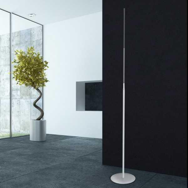 Pole